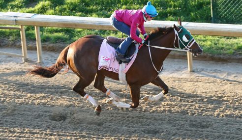 Bellafina Favored In Friday’s Highly Competitive Kentucky Oaks