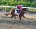 Bellafina Favored In Friday’s Highly Competitive Kentucky Oaks Bellafina Favored In Friday’s Highly Competitive Kentucky Oaks