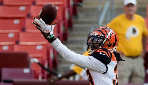 Cincinnati Bengals Super Bowl Odds