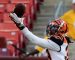 Cincinnati Bengals Super Bowl Odds