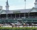 Top Horse Pick of the Week