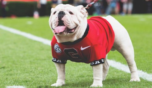 Georgia Bulldogs Football Offseason Preview