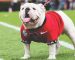 Top 5 Guard And Center Prospects For 2022 NFL Draft Top 5 Guard And Center Prospects For 2022 NFL Draft