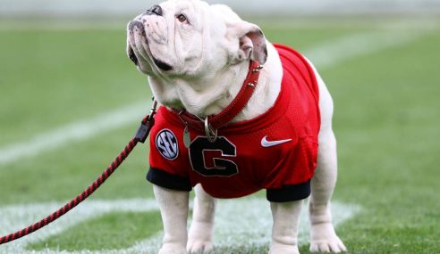 College Football: Kentucky Wildcats at Georgia Bulldogs