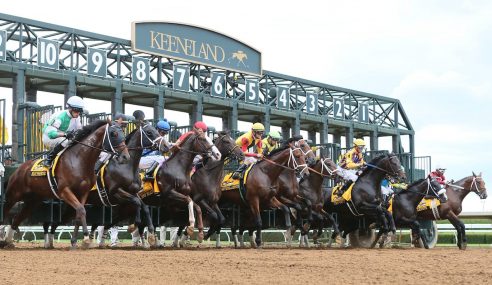 Top Horse Pick of the Week for October 5, 2019