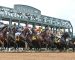 Top Horse Pick of the Week for October 5, 2019 Top Horse Pick of the Week for October 5, 2019