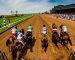 Top Horse Pick of the Week for October 12, 2019 Top Horse Pick of the Week for October 12, 2019