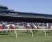 Top Horse Pick of the Week for October 19, 2019 Top Horse Pick of the Week for October 19, 2019