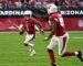 TAKING STOCK: ARIZONA CARDINALS TAKING STOCK: ARIZONA CARDINALS