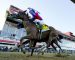 2020 Breeders Cup Preview: Dirt Mile 2020 Breeders Cup Preview: Dirt Mile