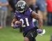 WEDNESDAY AFTERNOON FOOTBALL: BALTIMORE RAVENS AT PITTSBURGH STEELERS