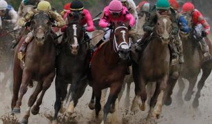 2021 Preakness Stakes Preview