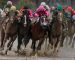 2021 Preakness Stakes Preview 2021 Preakness Stakes Preview