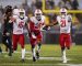 XFL WEEK DIVISIONAL PLAYOFFS PREVIEW & PICKS