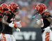 SATURDAY NFL FOOTBALL WEEK 16 GAME 1: CINCINNATI BENGALS AT PITTSBURGH STEELERS