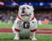 COLLEGE FOOTBALL CHAMPIONSHIP WINNER ODDS